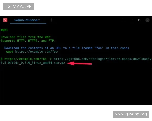 亚星222登录流程详解新手玩家快速上手操作指南