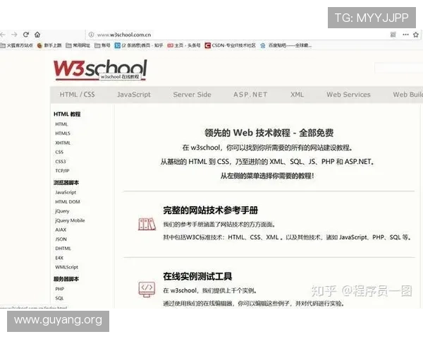 亚星网站改程序详细流程指南帮助开发者高效完成网站改版任务
