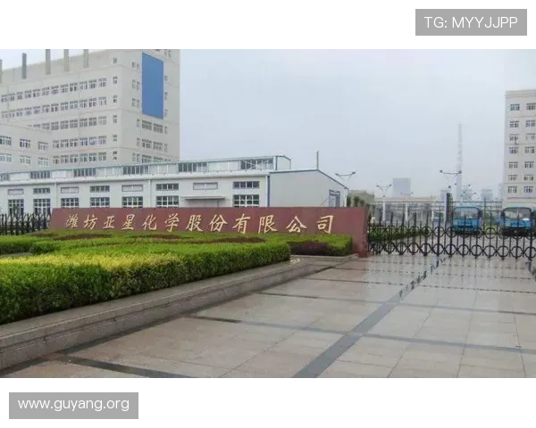 潍坊亚星集团有限公司官网最新新闻动态与行业合作信息一览 潍坊亚星集团有限公司官网最新新闻动态与行业合作信息一览